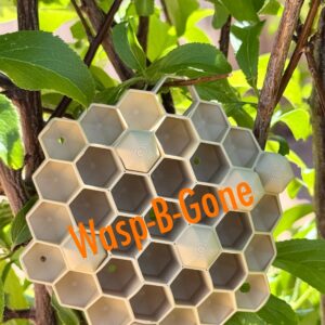 Wasp Deterrent Fake Nest – Chemical-Free Wasp Repellent (Set of 3)