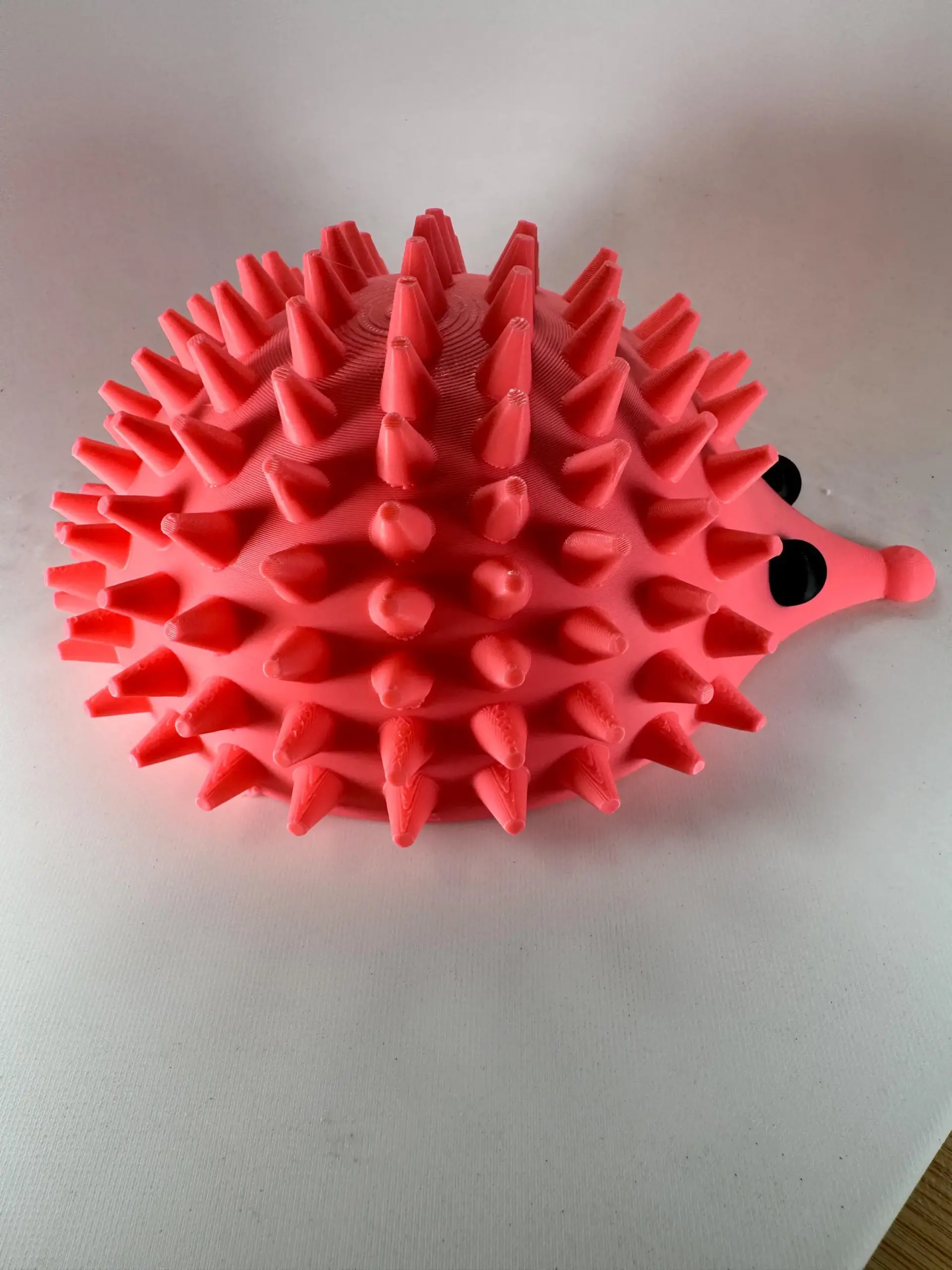 Porci-Puss Self Groomer for cats. - Image 5