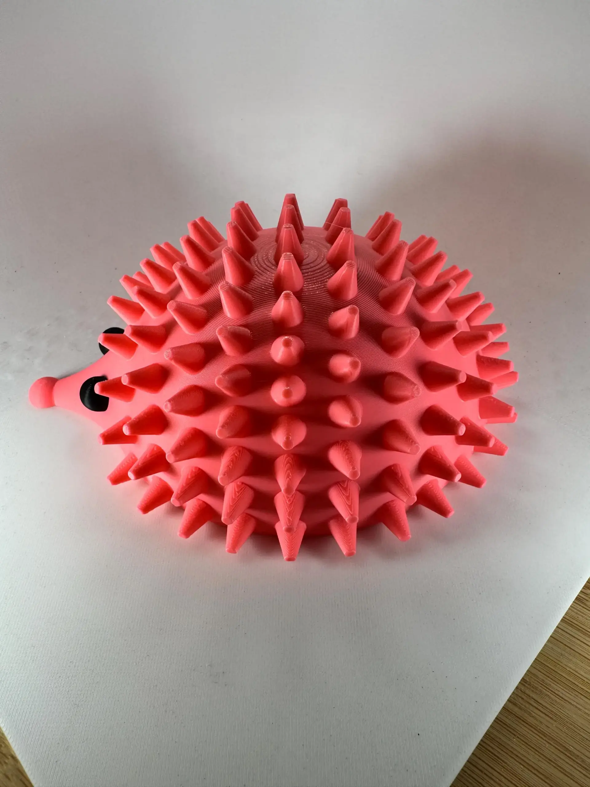 Porci-Puss Self Groomer for cats. - Image 3