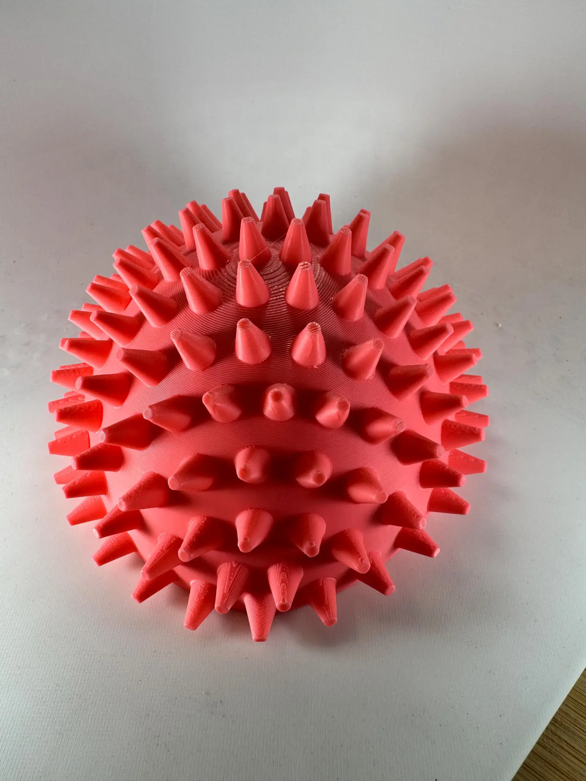 Porci-Puss Self Groomer for cats. - Image 4