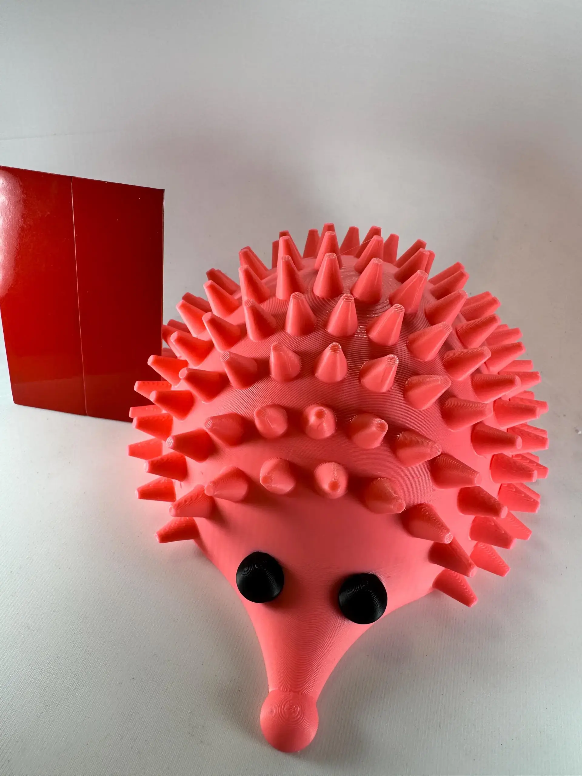 Porci-Puss Self Groomer for cats. - Image 8