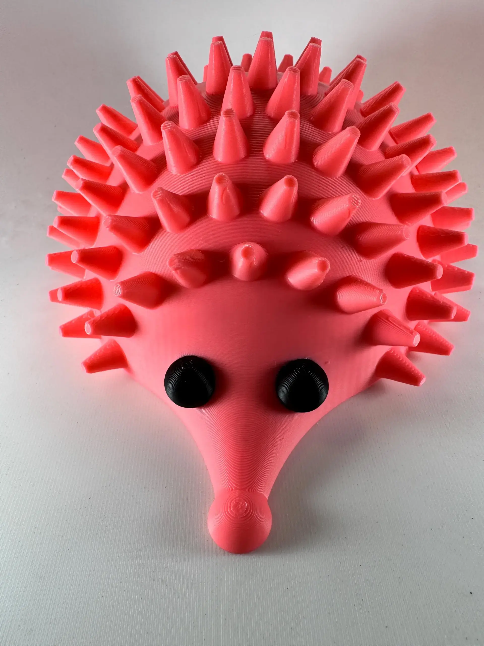 Porci-Puss Self Groomer for cats.