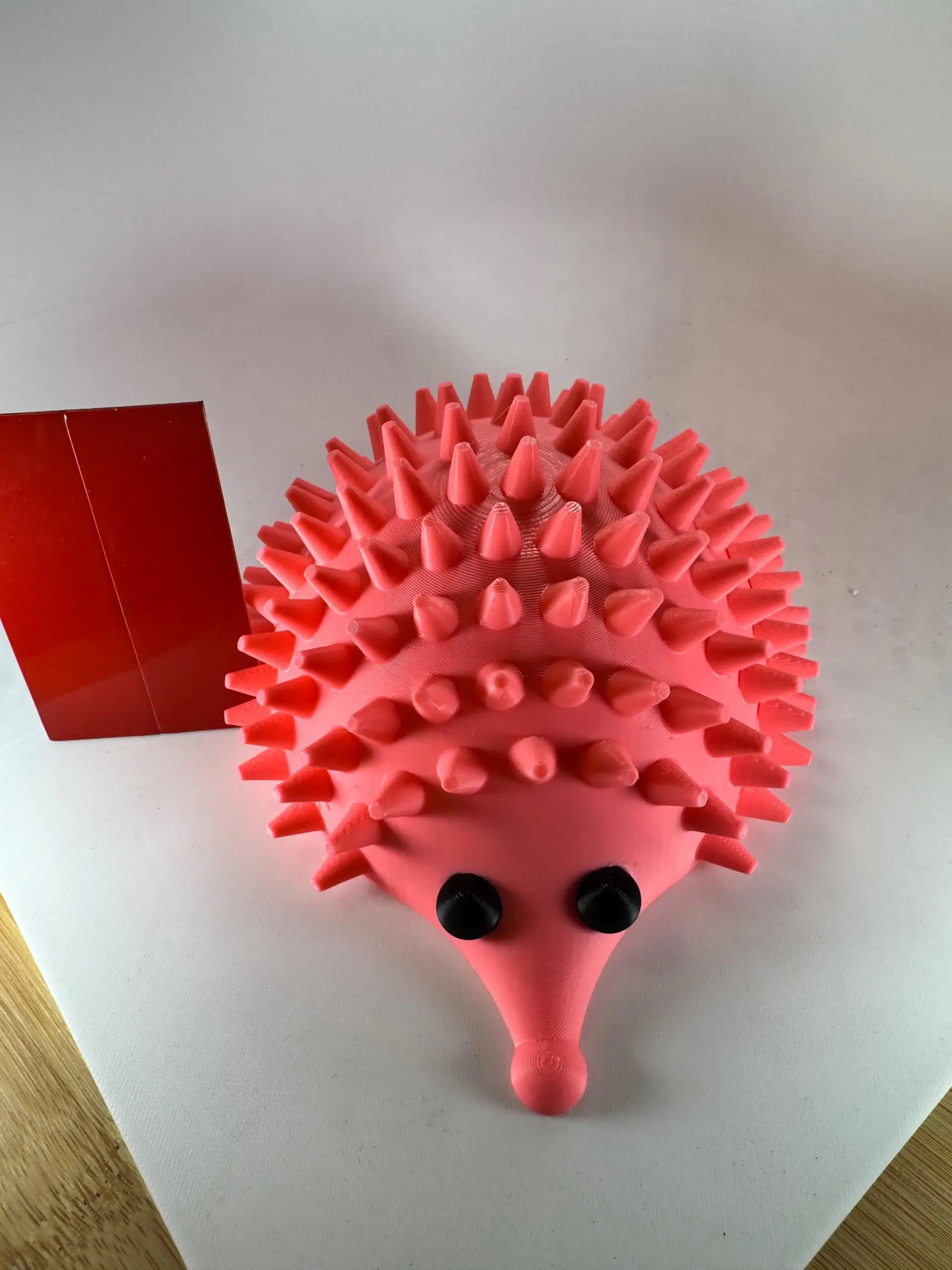 Porci-Puss Self Groomer for cats. - Image 7